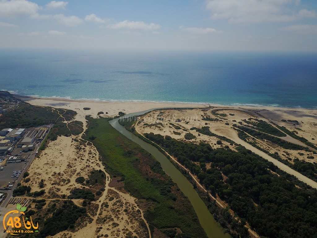 robin aradyej (25).jpg.jpg.jpg